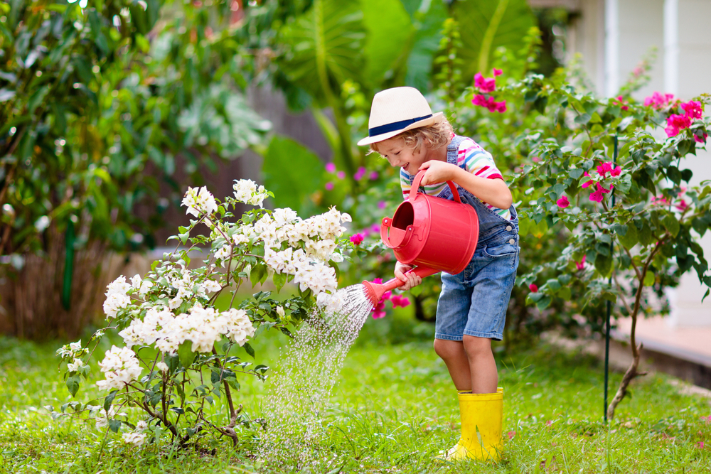 Child,Gardening.,Little,Boy,With,Red,Watering,Can,In,Blooming