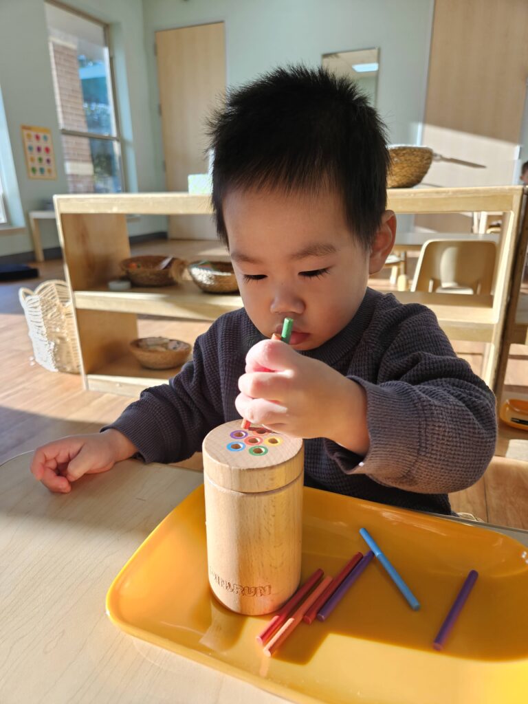 Toddler practicing pouring practical life activity as part of our Montessori Toddler Daycare in Richmond, TX